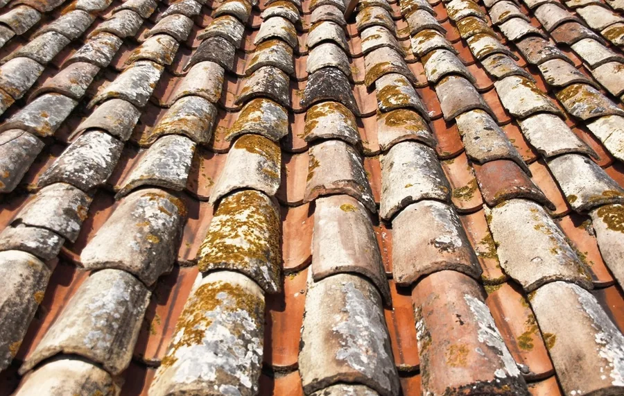 Curved barrel tiles with lichen
